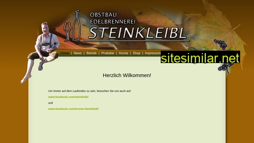 steinkleibl.at alternative sites