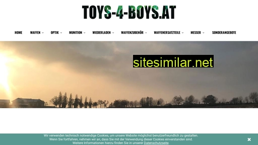 toys-4-boys.at alternative sites
