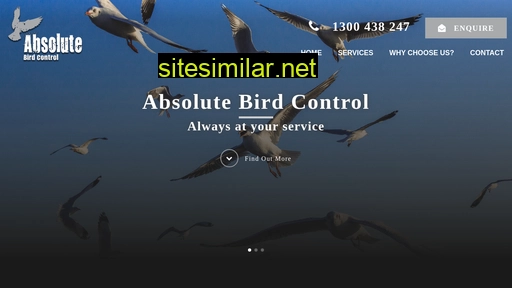 absolutebird.com.au alternative sites