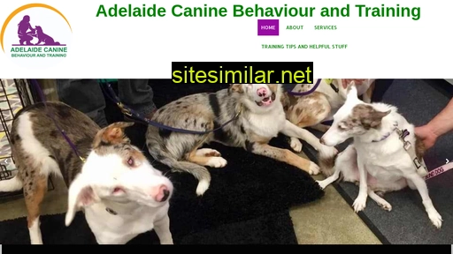 Adelaidedogtraining similar sites