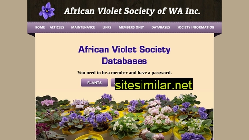 Africanvioletswa similar sites