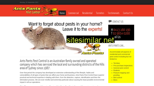 antspantspestcontrol.com.au alternative sites