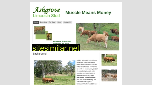 ashgrovelimousin.com.au alternative sites