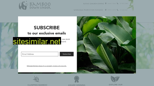 bamboodownunder.com.au alternative sites