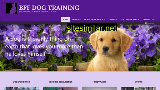 bffdogtraining.com.au alternative sites