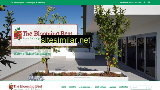 bloomingbest.net.au alternative sites