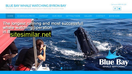 bluebaywhalewatching.com.au alternative sites