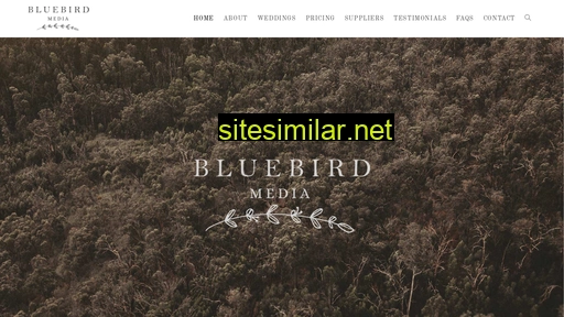bluebirdmedia.com.au alternative sites
