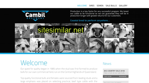 cambil.com.au alternative sites