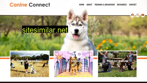 Canineconnect similar sites
