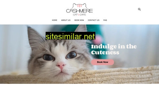 cashmerecatcafe.com.au alternative sites