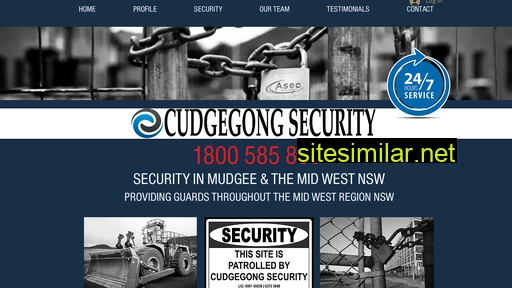 Cudgegongsecurity similar sites