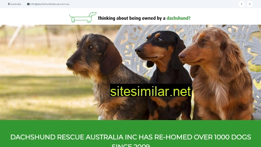 dachshundpuppies.com.au alternative sites