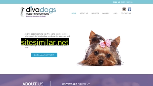 divadogs.com.au alternative sites