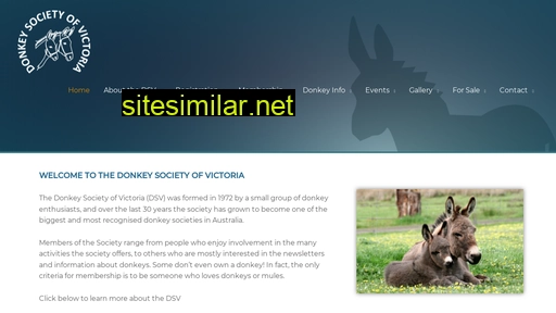 donkey.org.au alternative sites