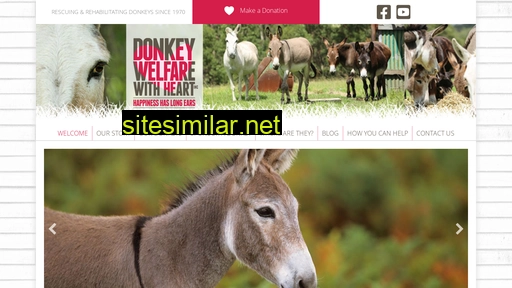 Donkeywelfare similar sites