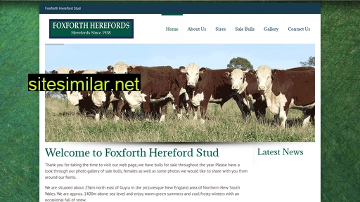 foxforthherefords.com.au alternative sites