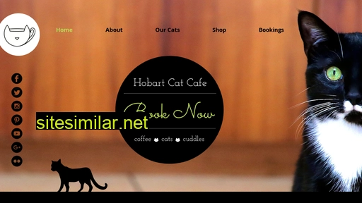hobartcatcafe.com.au alternative sites