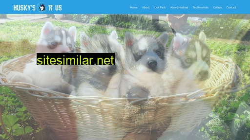 huskysrus.com.au alternative sites