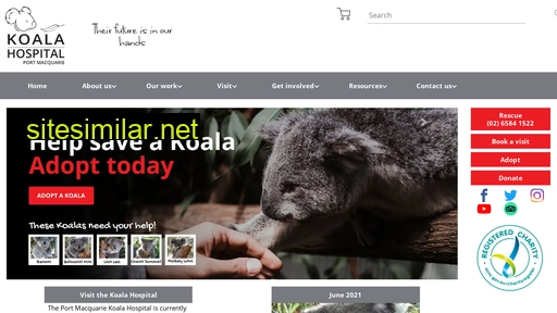 koalahospital.org.au alternative sites