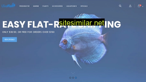 livefish.com.au alternative sites