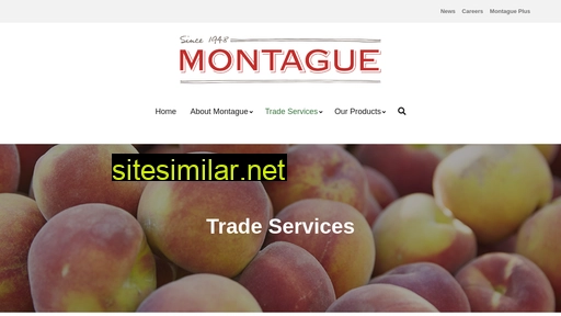 Montague similar sites