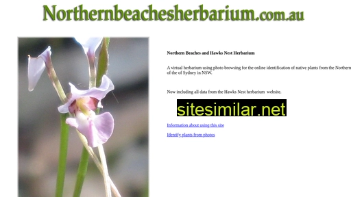 northernbeachesherbarium.com.au alternative sites