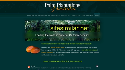 Palmplantations similar sites