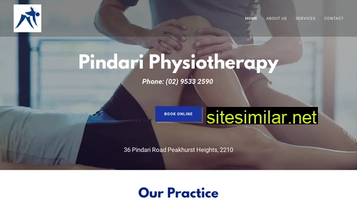 pindariphysiotherapy.com.au alternative sites