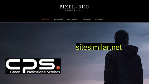 Pixel-bug similar sites