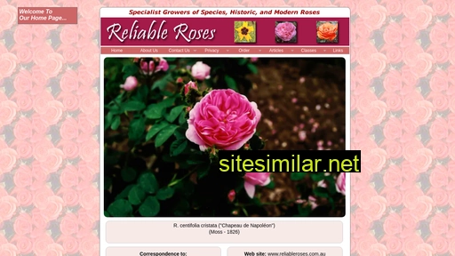 reliableroses.com.au alternative sites