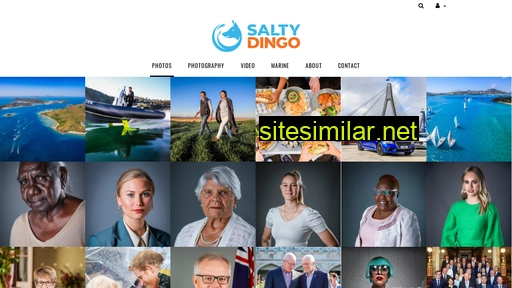 saltydingo.com.au alternative sites