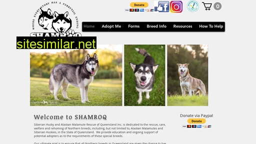 shamroq.org.au alternative sites