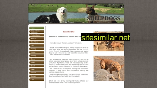 Sheepdogs similar sites