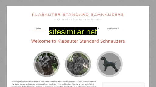 standardschnauzer.com.au alternative sites