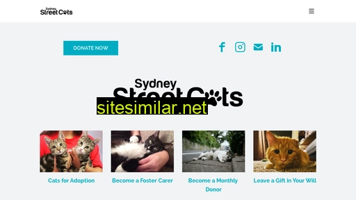 sydneystreetcats.org.au alternative sites