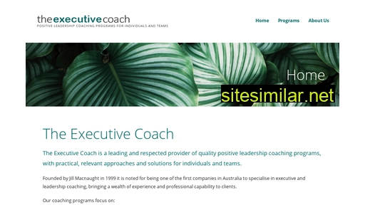 theexecutivecoach.com.au alternative sites