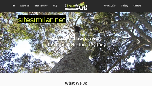 treefrogspecialists.com.au alternative sites