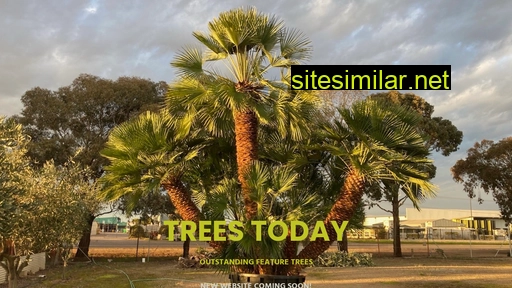 treestoday.com.au alternative sites