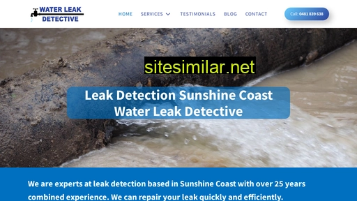 waterleakdetective.com.au alternative sites