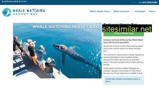 whalewatchingherveybay.com.au alternative sites