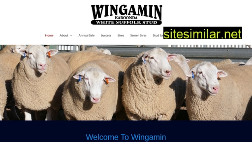 wingamin.com.au alternative sites