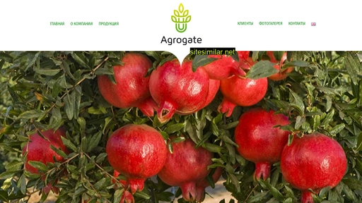 Agrogate similar sites