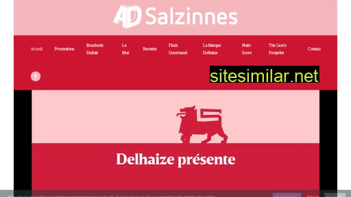 adsalzinnes.be alternative sites