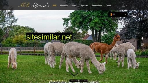 alpacas.be alternative sites