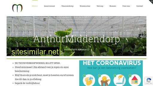 anthurmiddendorp.be alternative sites