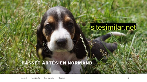 basset-artesien-normand.be alternative sites