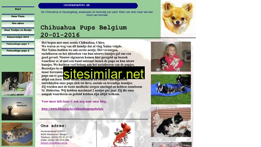 chihuahuapups.be alternative sites