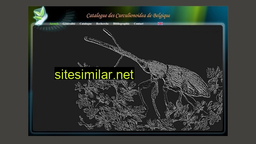 curculionidae.be alternative sites
