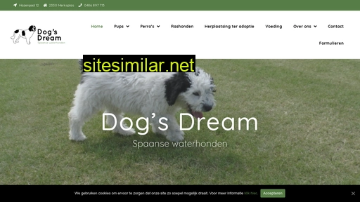 dogs-dream.be alternative sites